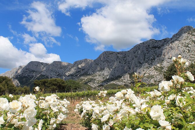 Marseille Shore Excursion - Private Full Day Wine Tour in Provence - Inclusions