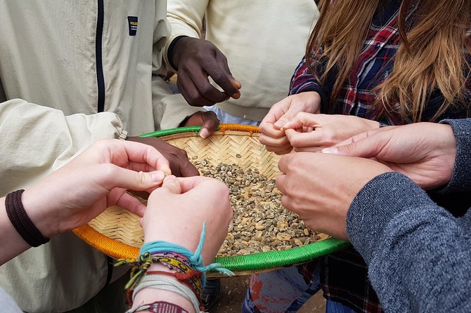 Materuni Waterfall and Coffee Tour, Tanzania - Transportation and Pickup