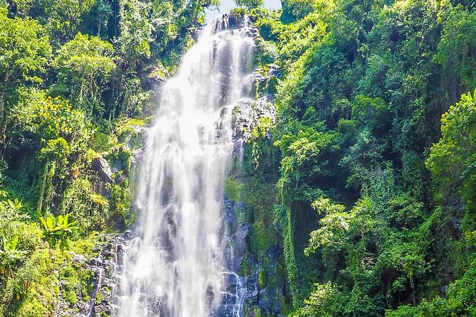 Materuni Waterfalls & Coffee Tour From Moshi - Included in the Tour