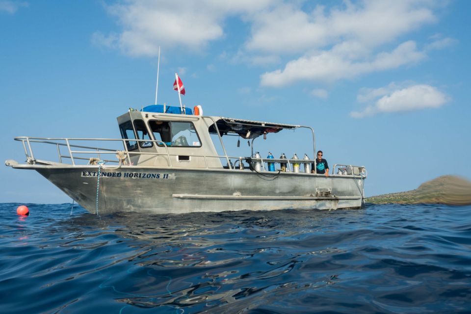 Maui: Beginner Discovery Scuba Dive Excursion From Lahaina - Exploring the Coral Reef