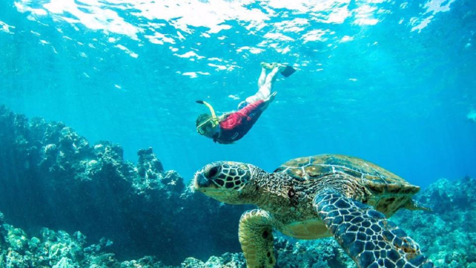 Maui: Cruise With Snorkeling and Barbecue Lunch - Onboard Amenities and Inclusions