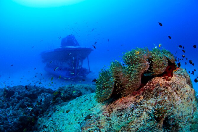 Mauritius Unique Submarine Tour - Inclusions and Amenities