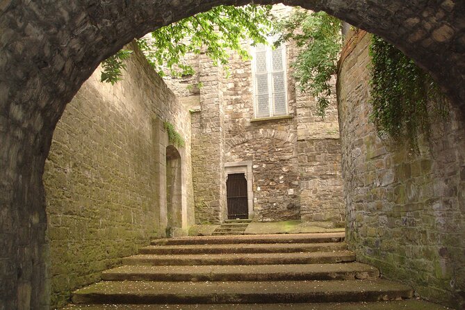 Medieval Dublin Walking Private Guided Tour - Inclusions and Amenities