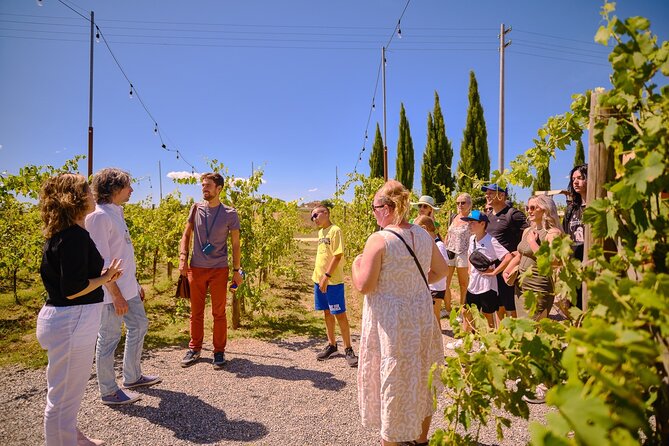 Medieval Gems of Tuscany: Siena, San Gimignano and Monteriggioni - Sights of Siena Cathedral