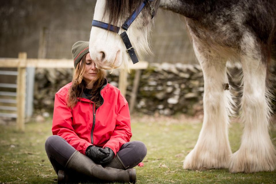 Meditate With Horses Full Circle Experiences - Greeting and Grooming the Horses