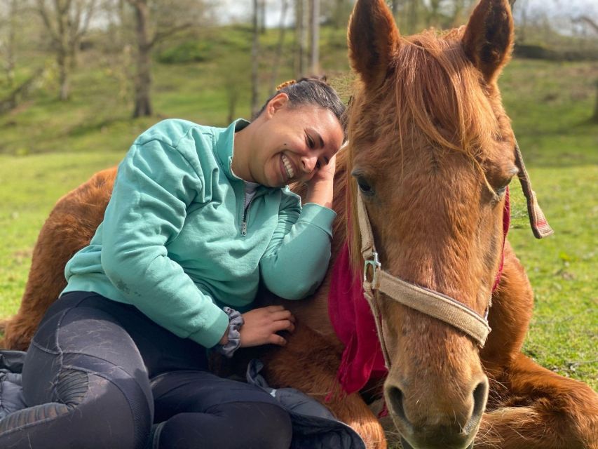 Meditate With Horses - Connecting With Horses