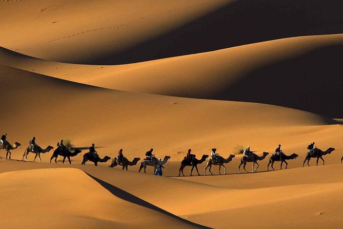 Merzouga Desert Tour From Marrakech & Camel Ride - Inclusions