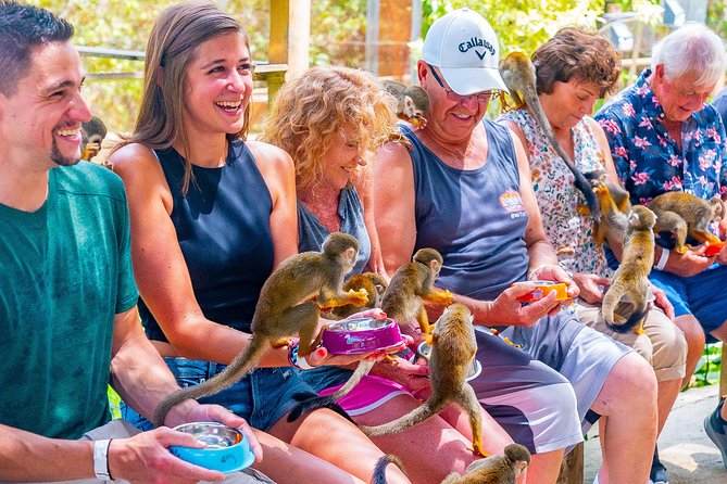 Monkeyland Puerto Plata - Monkey Encounters