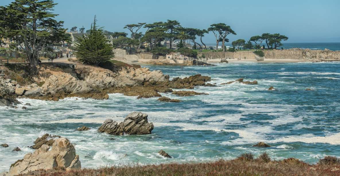 Monterey Peninsula Sightseeing Tour Including 17 Mile Drive - Tour Highlights and Experience