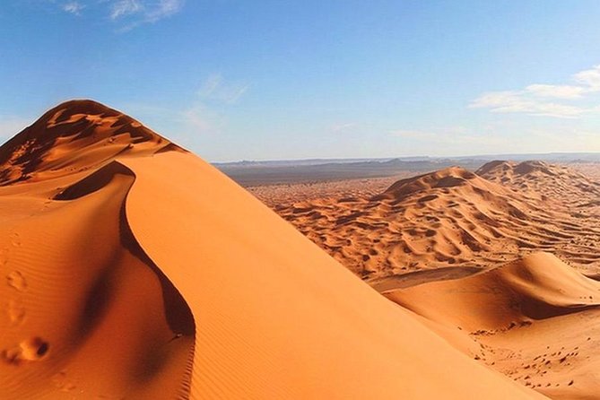 Morning Red Desert Safari With Camel Ride Dubai - Whats Included in the Tour