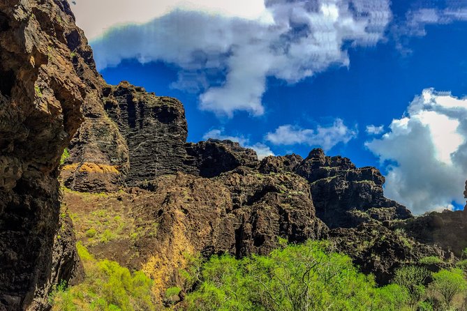 Mount Teide and Teno Country Park Private Tour - Diverse Landscapes