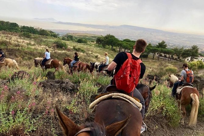 Mount Vesuvius Guided Horse Riding Tour With Sample Wine - Included Wine Tasting From Ranch Vineyards