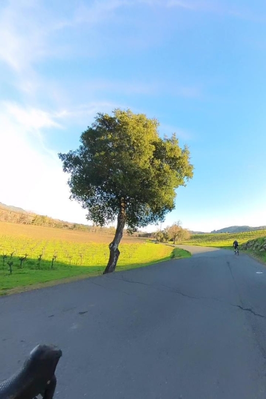 Napa/Sonoma: Guided Tour for Cycling Enthusiasts - Personalized Routes