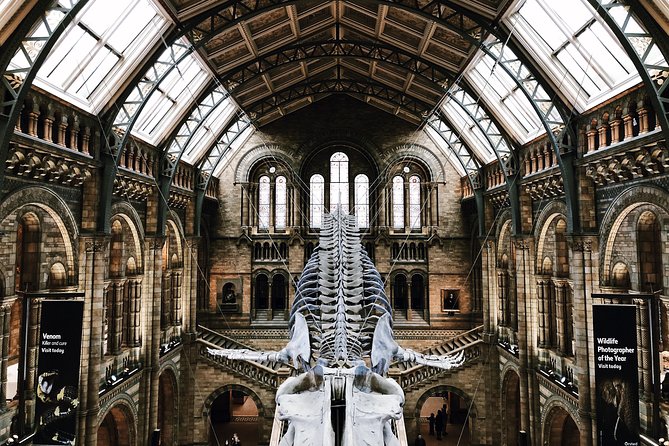 Natural History Museum London - Private Guided Museum Tour - Tour Highlights and Key Exhibits