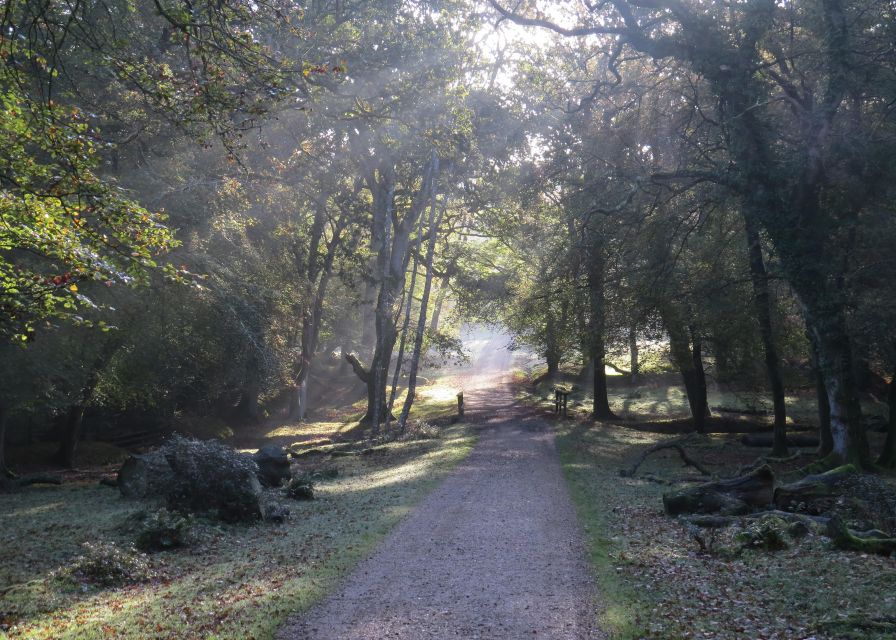 New Forest Discovery Walk (Lyndhurst) - Duration and Experience