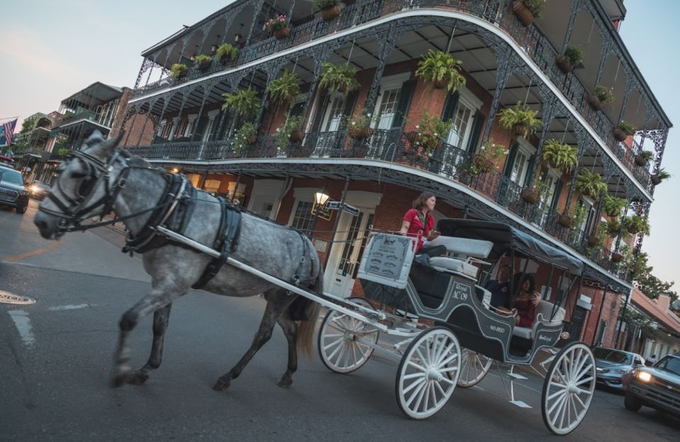 New Orleans City Driving Tour - Discovering Architectural Gems