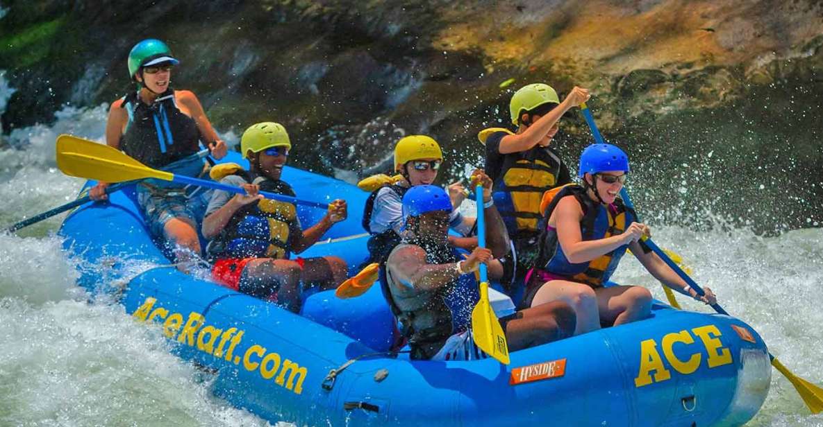 New River Gorge Whitewater Rafting - Lower New Half Day - Booking Information