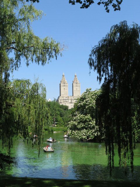 New York City: 2-Hour Photography Tour - Central Parks Photogenic Locations