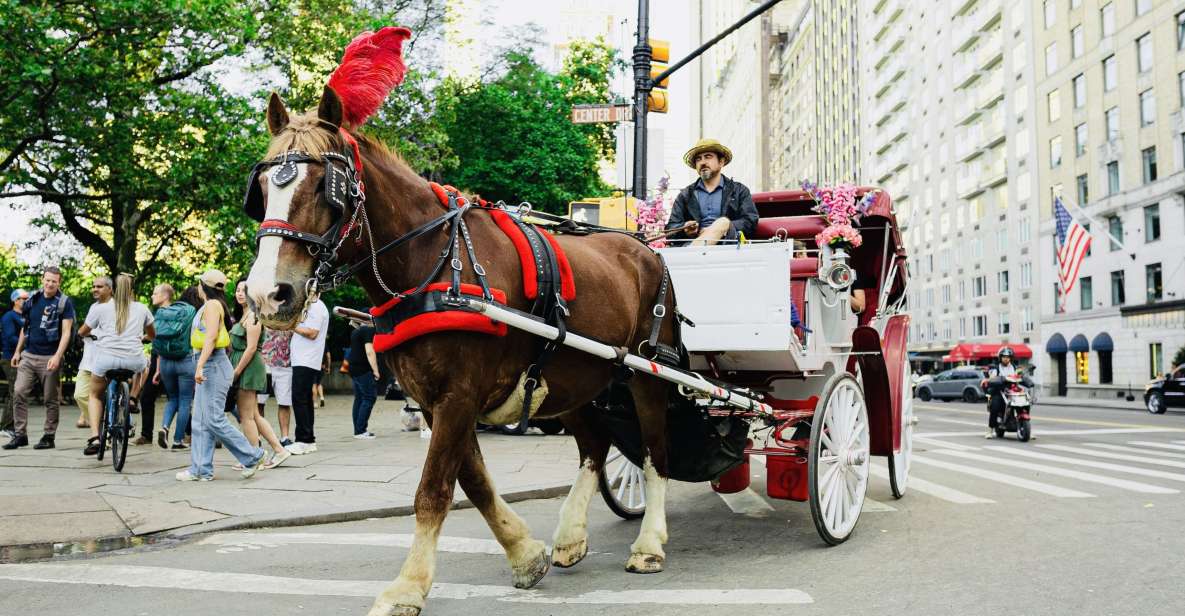 New York City: Central Park Private Horse and Carriage Tour - Duration and Inclusions