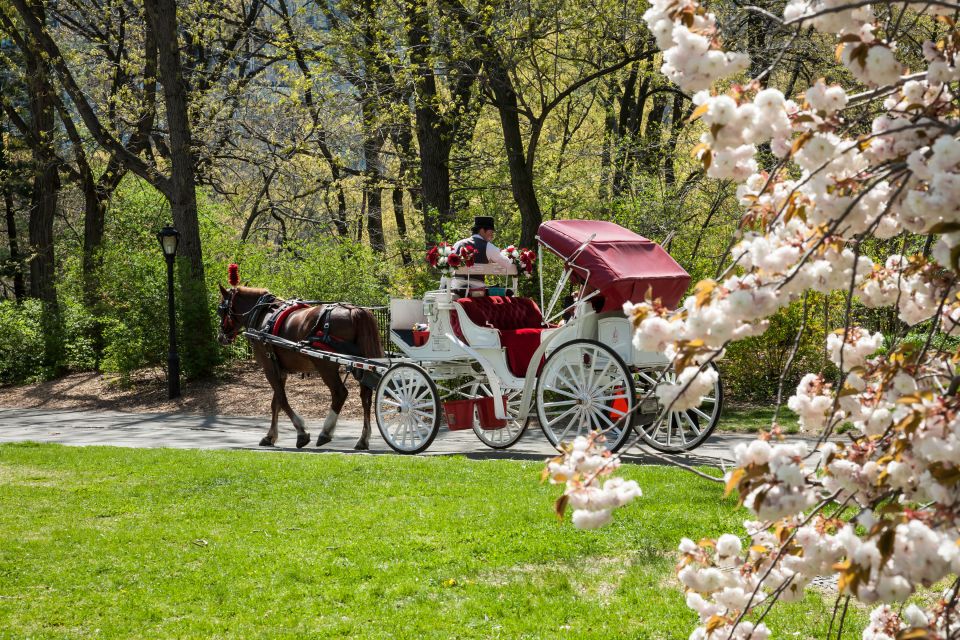 New York City: Horse and Carriage Rides in Central Park - Landmarks Along the Route