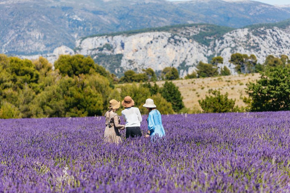 Nice: Gorges of Verdon and Fields of Lavender Tour - Highlights of the Tour