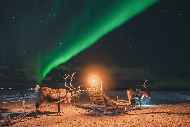 Night Reindeer Sledding With Camp Dinner and Chance of Northern Lights - Meeting Point and Logistics