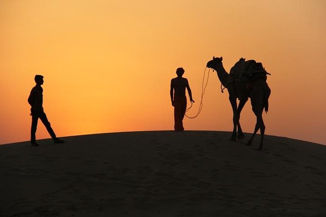 Non Touristic Half Day Camel Safari Thar Desert Sunset - Pickup Information