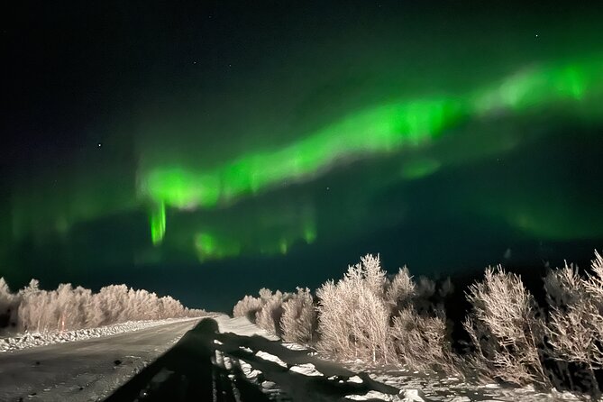 Northern Light Hunt With Minibus to Abisko 7:30 Pm - Small-group Tour