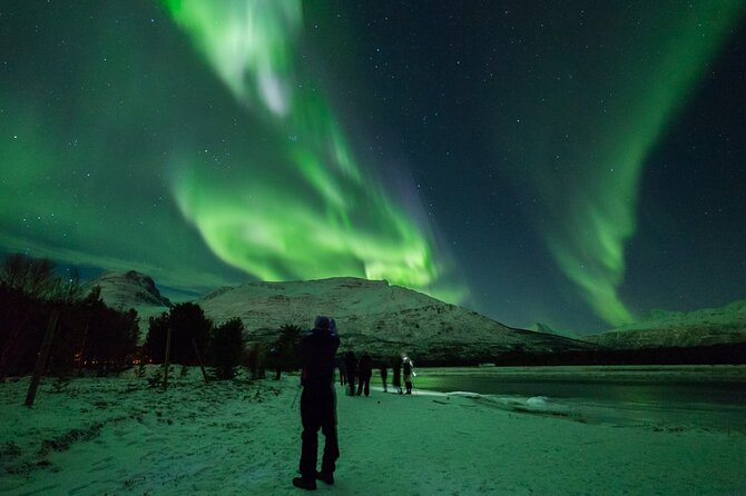 Northern Lights Chase by Bus in Tromso - Tour Itinerary and Inclusions