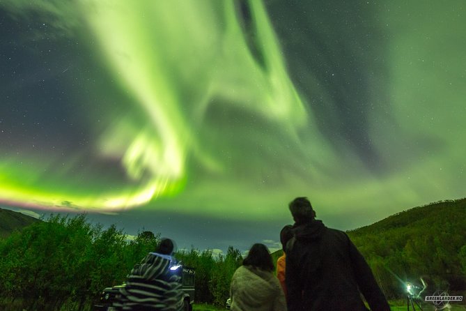 Northern Lights Private Tour With Your Special Ones - Greenlander - Inclusions and Exclusions