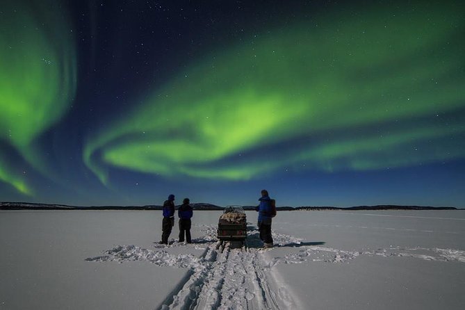 Northern Lights Tour to Lake Inari From Ivalo, Reindeers & Dinner - Inclusions and Restrictions