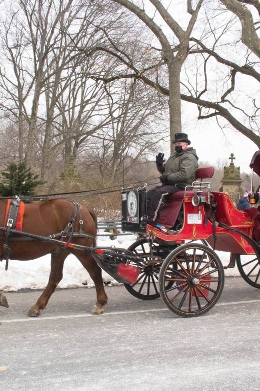 NYC Horse Carriage Ride in Central Park (65 Min) - Highlights of the Ride