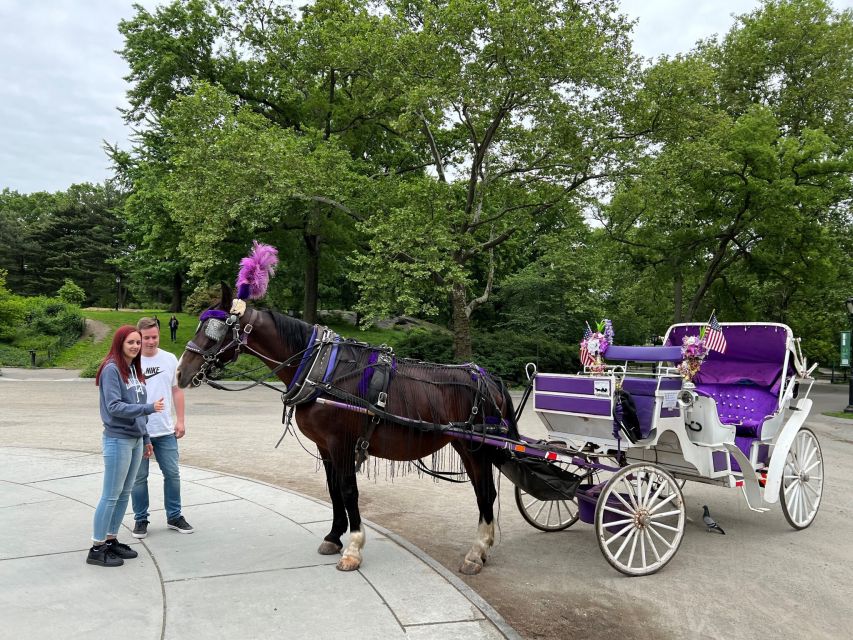 Nyc: Private Central Park Horse Carriage Ride With Guide - Ride Options