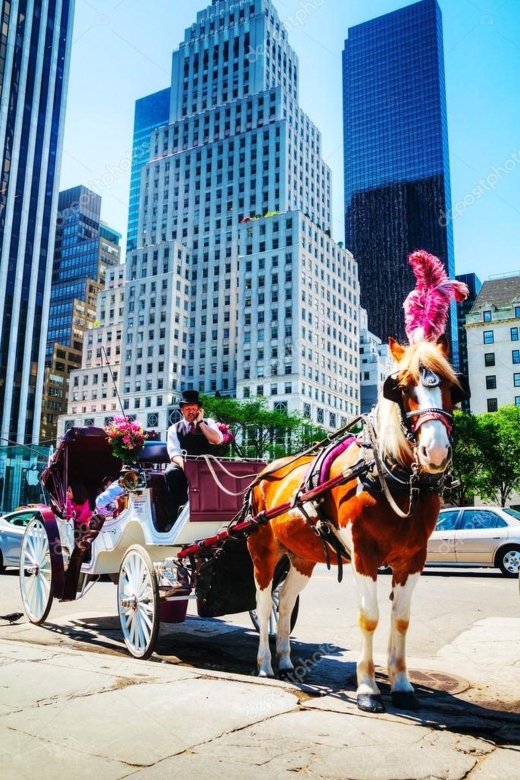 NYC:Guided Central Park Horse Carriage Ride - Pricing and Reservation