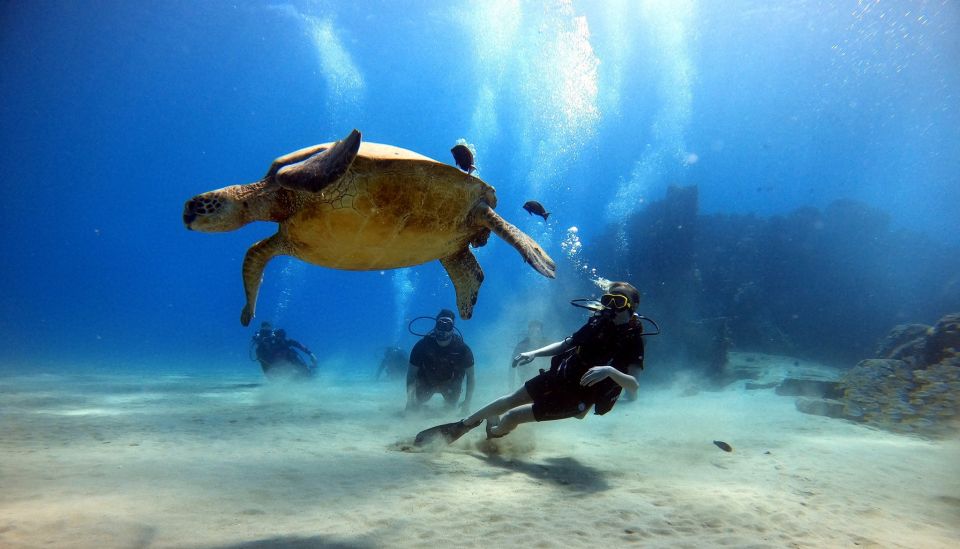 Oahu: Scuba Diving Lesson for Beginners - Pricing and Booking Details