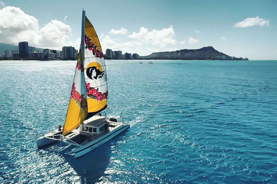 Oahu: Waikiki Eco-Friendly Morning Whale Watching Cruise - Experience Highlights