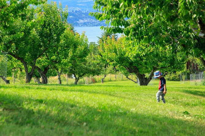 Okanagan 2 Days Wine Tasting & Cherry Picking Tour - Wine Tasting at Quails Gate Winery