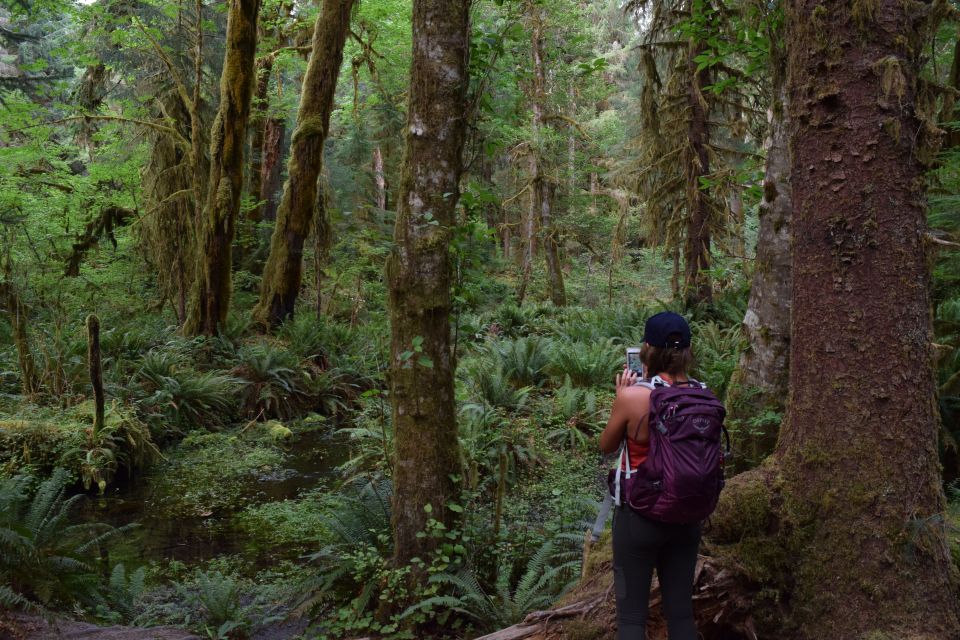 Olympic National Park: Hoh Rain Forest and Rialto Beach Tour - Park Highlights