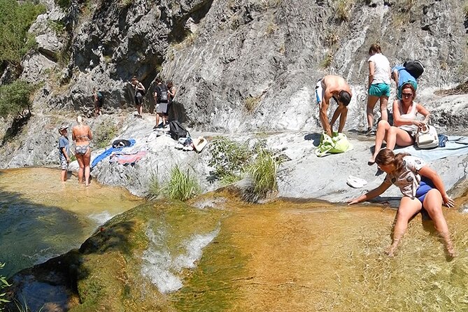 Olympus Lagoons - Enjoy Nature and Explore - Hike Through Thick Woods