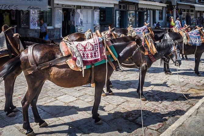 One Day Cruise to Hydra, Poros and Aegina From Athens - Highlights of the Tour