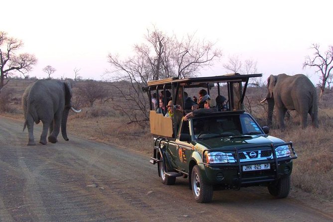 Open Vehical Safari in Kruger National Park Half Day - Exploring the Kruger National Park