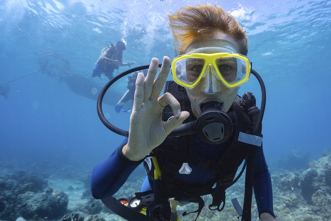 Open Water Diver Course + Underwater Photo Shooting - Meeting and Pickup Details