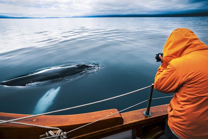 Original Carbon Neutral Whale Watching Tour From Húsavík - Sustainable Ship and Technology