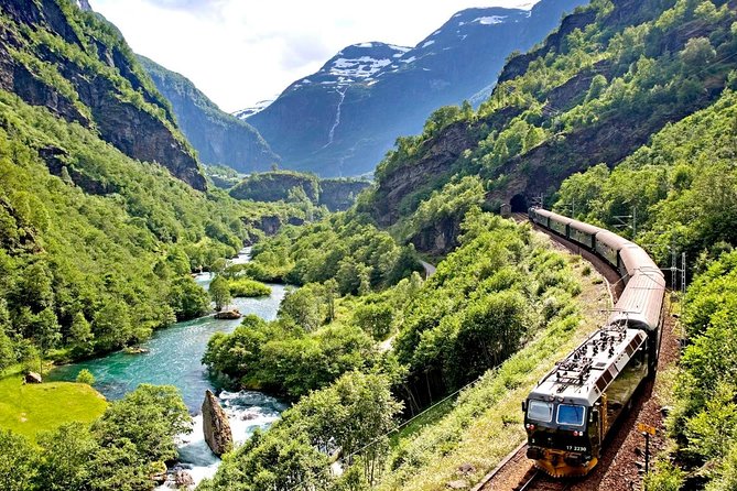 Oslo To Sognefjord Private Full Day Roundtrip Including Flam Railway - Included Features