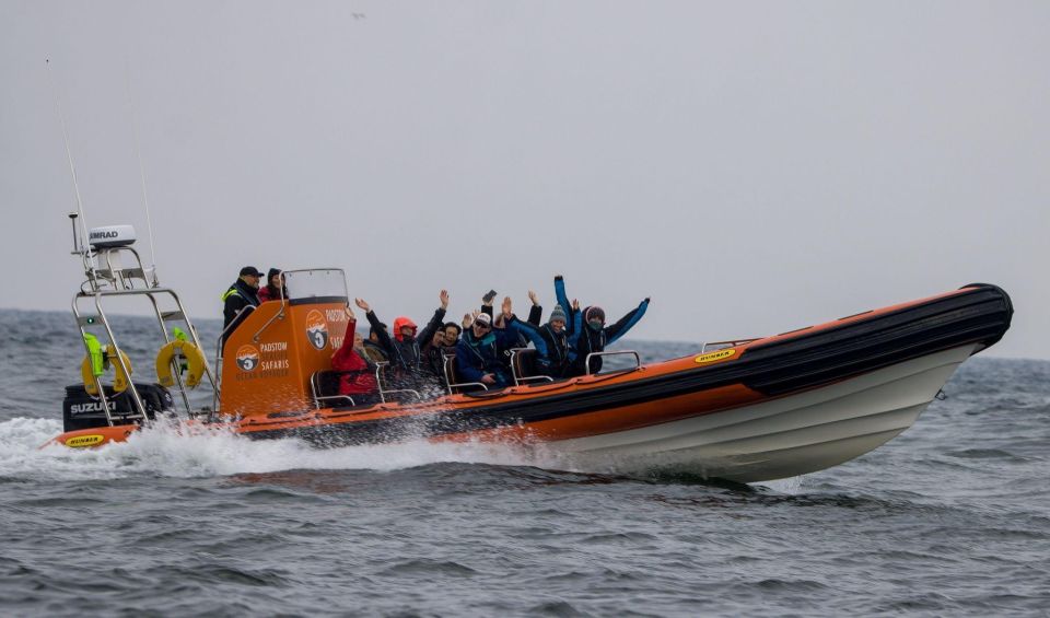 Padstow: Guided RIB Sealife Safari - Exploring the Padstow Coastline