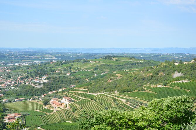 Pagus Wine Tours® - a Taste of Valpolicella - Half Day Wine Tour - Included in the Tour