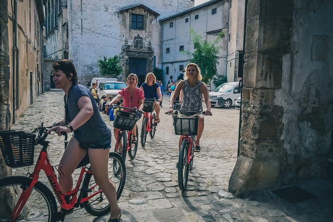 Palma De Mallorca Shore Excursion: Bike Tour With Cathedral and Parc De La Mar - Exploring the Old Harbor