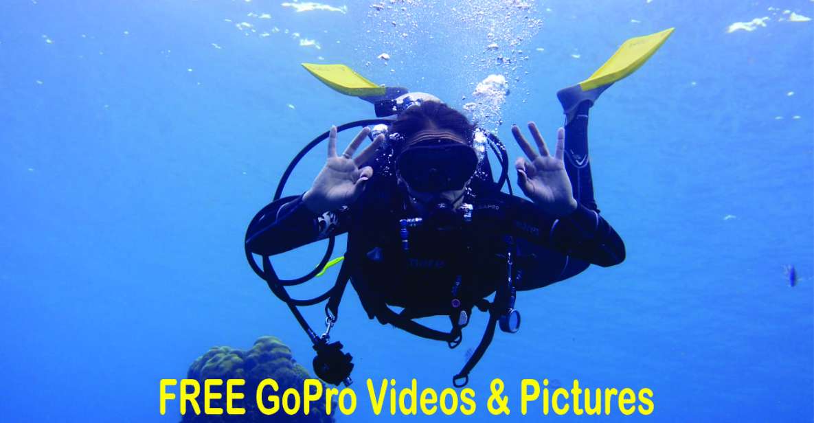 Panama City Beach: Beginners Scuba Diving Tour - Experience Details