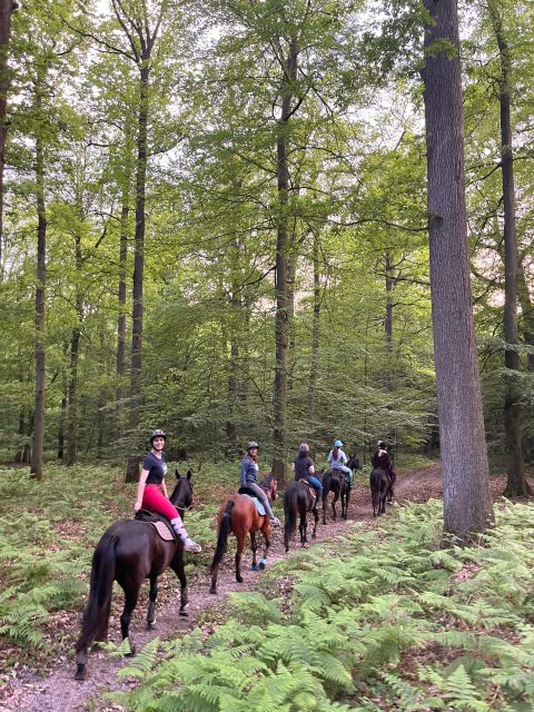 Paris: Aumont-en-Halatte Horseback Riding Tour - Included Amenities