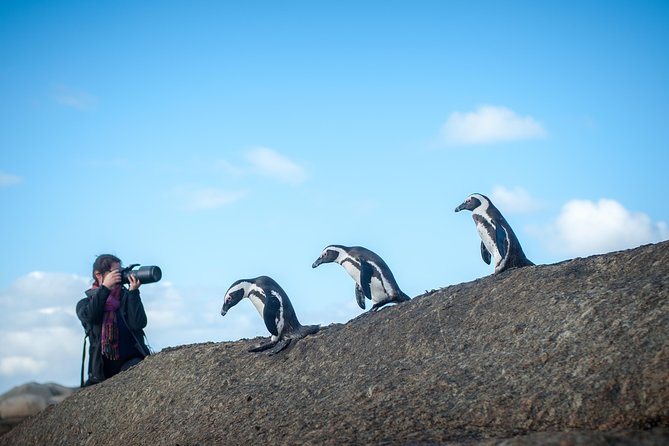 Peninsula Photography Tour - Highlights of the Experience